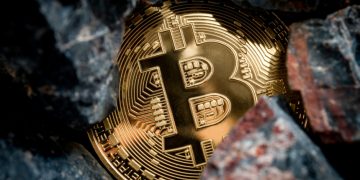 Bitcoin Miners Promote Down Hottest Rally, What Happened To Article-Halving Hold?