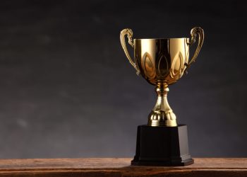 Bitcoin Prospects Poll With Public Predicting ‘Best Undertaking Asset in 2020’