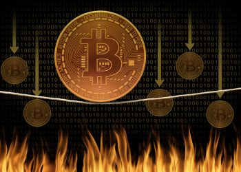 Bitcoin’s Most current Correction Could Spark a Bear Operate In direction of $6K, Fractal Shows