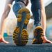 Cardano’s Extremely Expected Shelley Public Testnet Launches, as ADA Surges 68% Because Could