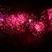 Essential On-Chain Metric Demonstrates Bitcoin Remains Bullish Irrespective of $800 Crash