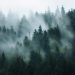 Investor: Ethereum DeFi Could Pump as Traders Dump “Ghost-Town” Coins