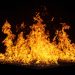 Is Coinbase Trade Headed Towards An Unavoidable Collapse?