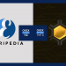 OKEx Lists TMTG and IQ Tokens, Location Investing to Be Accessible for Both of those
