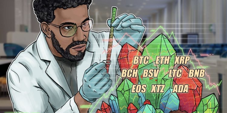Rate Assessment 6/1: BTC, ETH, XRP, BCH, BSV, LTC, BNB, EOS, XTZ, ADA