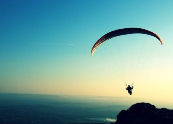 These Altcoins Set a New ATH While Bitcoin And Ethereum Tank