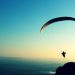 These Altcoins Set a New ATH While Bitcoin And Ethereum Tank