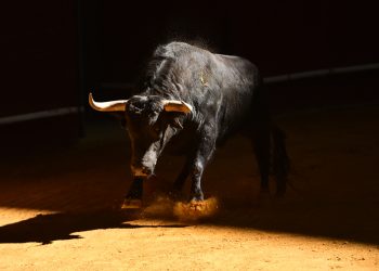 This Ethereum Liquidity Trend Suggests ETH Bulls Are Incredibly Robust