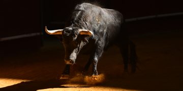 This Ethereum Liquidity Trend Suggests ETH Bulls Are Incredibly Robust