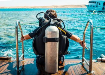 This Textbook Distribution Analyst Says Bitcoin Could Dive Less than $7,000