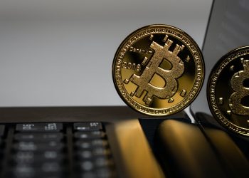 Bitcoin Offshoots: Bitcoin Cash, Bitcoin Gold and Bitcoin Private