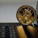 Bitcoin Offshoots: Bitcoin Cash, Bitcoin Gold and Bitcoin Private