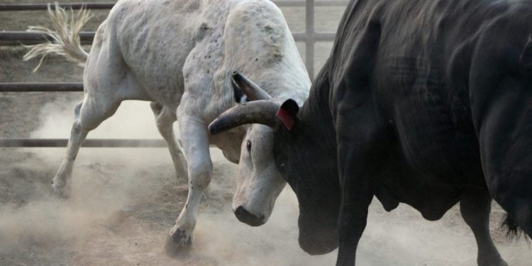 Bitcoin Attacks Array Highs as Analysts Concentrate on Go to $12,000+