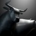 Bitcoin Funds Rally Reaches $300 and Technicals Indicate More Upsides