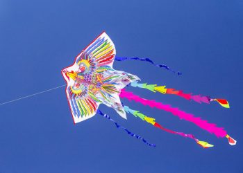 Bitcoin Soars 12% & Smashes Crucial Resistance: Bulls Intention $12K