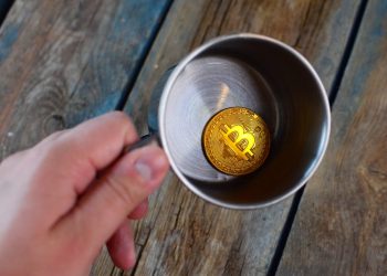 Craze Indicator: Bear Market place Didn’t Conclude After Bitcoin’s $3,700 Capitulation