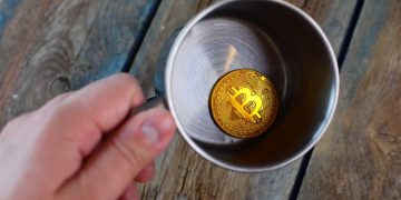 Craze Indicator: Bear Market place Didn’t Conclude After Bitcoin’s $3,700 Capitulation