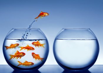 Following DeFi Increase to Come Out of “Useless” Cryptocurrencies: Messari