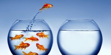 Following DeFi Increase to Come Out of “Useless” Cryptocurrencies: Messari