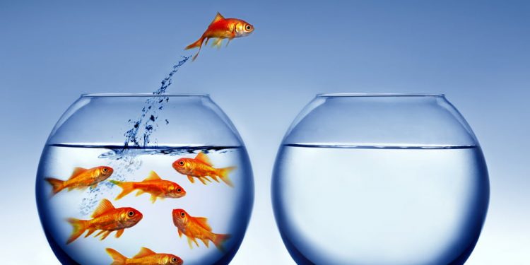 Following DeFi Increase to Come Out of “Useless” Cryptocurrencies: Messari