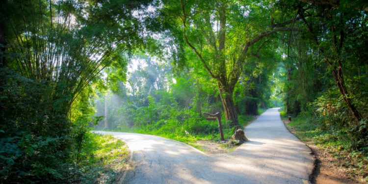 Important Indicator Suggests Bitcoin’s Momentum Is Weakening: Where Will BTC Head?
