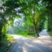 Important Indicator Suggests Bitcoin’s Momentum Is Weakening: Where Will BTC Head?