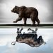 Institutional Traders Continue to be Bearish on Bitcoin Things to Think about