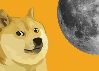 TikTok Dogecoin Pump Purveyors Practical experience Their Very first Crypto Dump