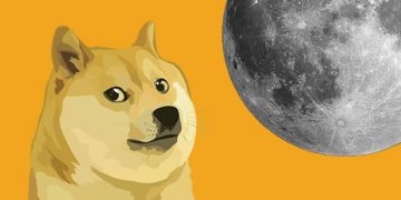 TikTok Dogecoin Pump Purveyors Practical experience Their Very first Crypto Dump