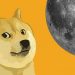 TikTok Dogecoin Pump Purveyors Practical experience Their Very first Crypto Dump
