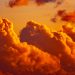 Unless of course Bitcoin Breaks By means of These 2 Degrees, a Crash to $7,000 Is “Sensible”