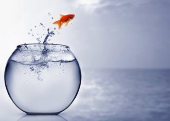 Binance-backed SXP Jumps 25% on New Products and solutions Start Extra Gains Ahead?