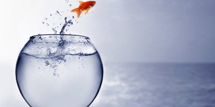 Binance-backed SXP Jumps 25% on New Products and solutions Start Extra Gains Ahead?
