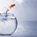 Binance-backed SXP Jumps 25% on New Products and solutions Start Extra Gains Ahead?