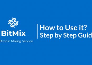 BitMix Critique: How to Use it