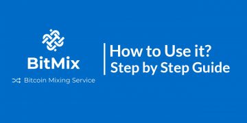 BitMix Critique: How to Use it