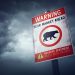 Bitcoin Rally, Altcoin Time Just take Crypto Market place Recovery To Pre-Bear Market Amounts