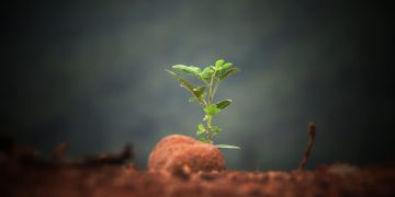 Bitcoin’s Rocketing Community Activity Implies BTC Continues to be Very Undervalued