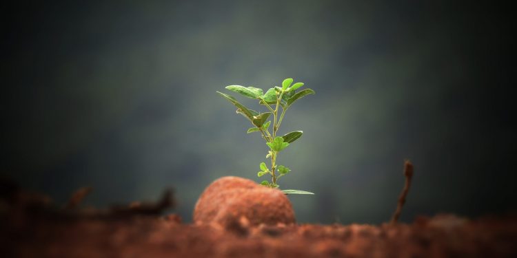 Bitcoin’s Rocketing Community Activity Implies BTC Continues to be Very Undervalued