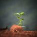 Bitcoin’s Rocketing Community Activity Implies BTC Continues to be Very Undervalued