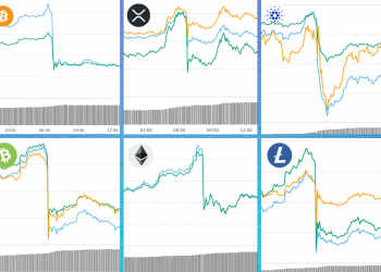 Crypto market crash may have been the result of market manipulation