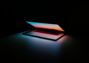 Dave Portnoy Drops Bitcoin, Tether Supports Ethereum’s OMG Community, DeFi Continue to Very hot