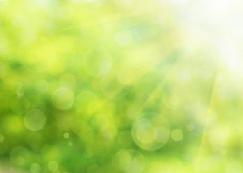 Ethereum DeFi’s Poster Youngster Compound Surges 15%: What is actually Up coming For COMP?