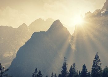 Ethereum’s Balancer (BAL) Surges 25%—and Far more May well Be to Arrive