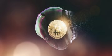 Purchase Crypto: Lookup Term Spikes To Best Stage Due to the fact Bitcoin Bubble