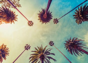 Regardless of 10% Fall From Highs, Ethereum Holds Pivotal Relocating Normal