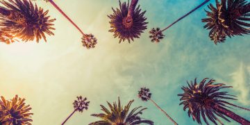 Regardless of 10% Fall From Highs, Ethereum Holds Pivotal Relocating Normal