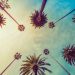 Regardless of 10% Fall From Highs, Ethereum Holds Pivotal Relocating Normal