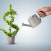 Simple Cash? Coinbase Crypto Cash Increase Over 50% On Ordinary In August