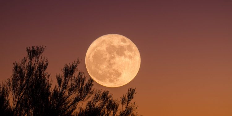 Tezos (XTZ) Could Shortly See a 100% Rally as Analysts Observe Bullish Traits